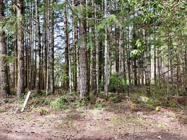 361 SE Ryan Road, Shelton, WA 98584