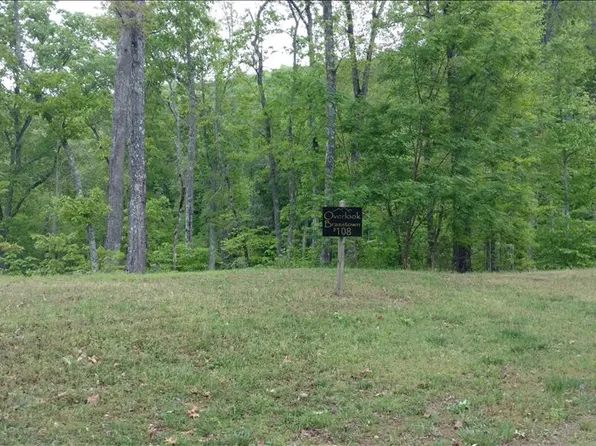 L-108 Brasstown Rd, Brasstown, NC 28902