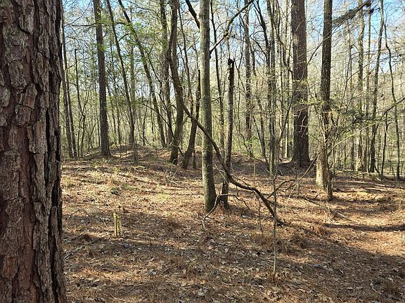 4th image of 1381 Trestle Rd