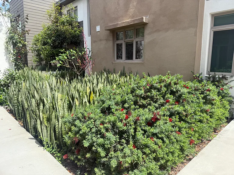 2488 Mohawk St #203 — Photo 9