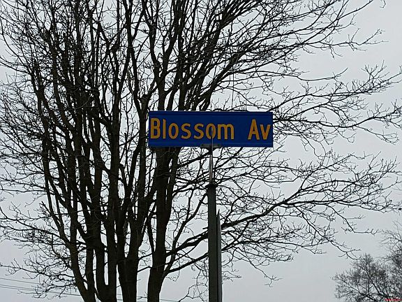 5th image of 1313 Blossom Ave