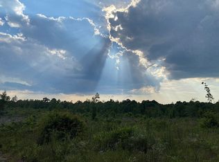 0 Palmer Rd, Ochlocknee, GA 31773