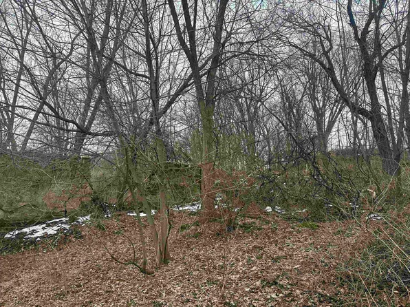 6/ACRE S Windy Gap Rd, Lyndon Station, WI 53944