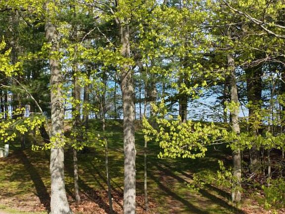 5th image of LOT 18 Towering Oaks Dr