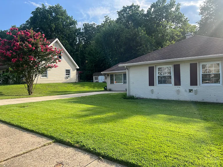 Plumtree Ln — Photo 14