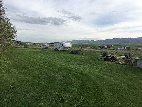 Huge yard With fruit trees