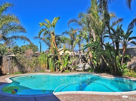 Private in ground pool and mature palm trees