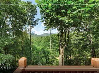 576 Blackberry Trail, Sapphire, NC 28774