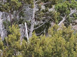 9287 Lariat Rd #7, Williams, AZ 86046