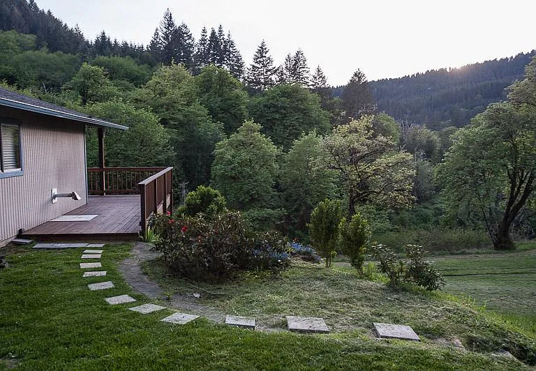 561 Paradise Creek Rd — Photo 7