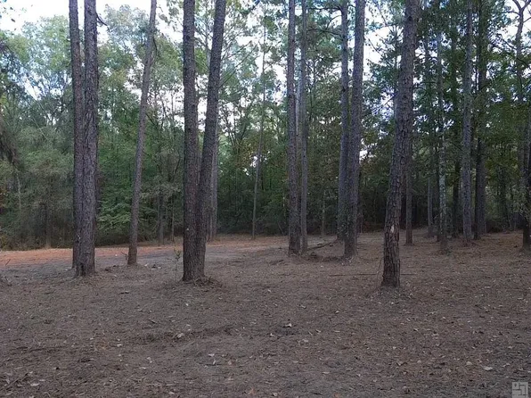 LOT 32 Back Ridge Rd Lot 32, Amite, LA 70422