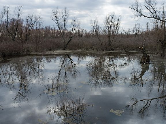 3rd image of Butler Pool Rd