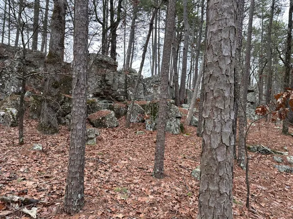 409- E Gobbler Trl, Moyers, OK 74557