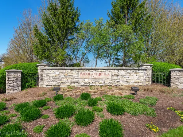 6475 Woodland Hills Dr, Village Of Lakewood, IL 60014