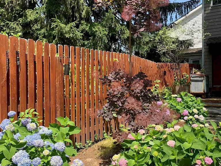 Neighborhood