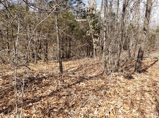 9375 N Lookout Ln, Pleasant Hope, MO 65725