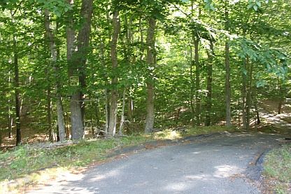 3rd image of 45 La Forest Ln