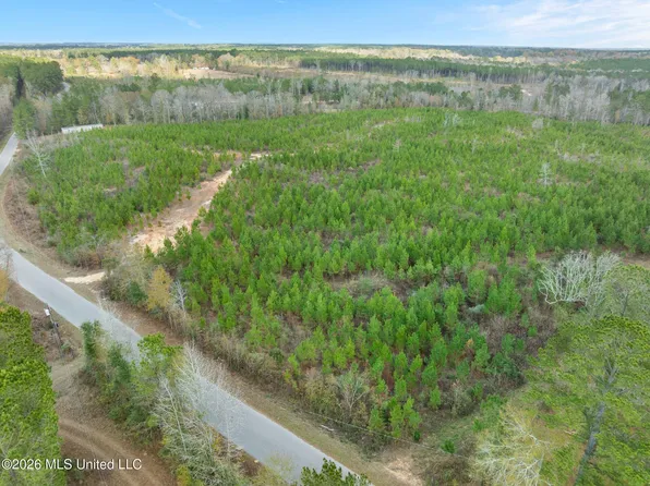 Guthrie Carter Rd, Moselle, MS 39459
