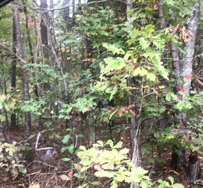 1st image of 2268 Sharondale Dr Lot 268