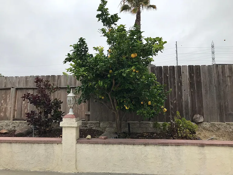 Calma Dr — Photo 28