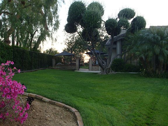 Front yard with spacious lawn