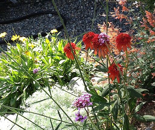 Garden path behind hot tub