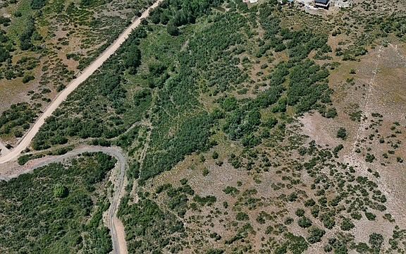 5th image of 145K S Forest Meadow Rd