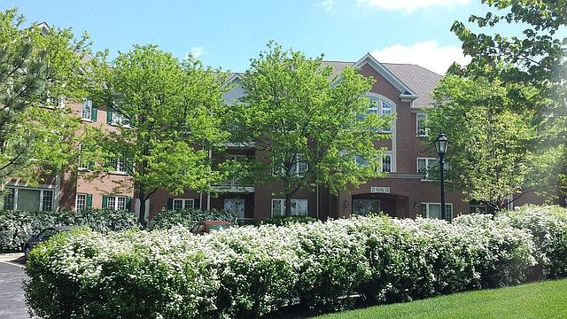 1st image of 2660 Summit Dr Unit 106