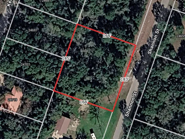 LOT 35 Shannon St, Hempstead, TX 77445