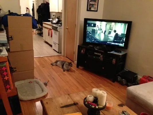 Rented by Standard Realty | media 7