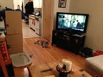 Rented by Standard Realty