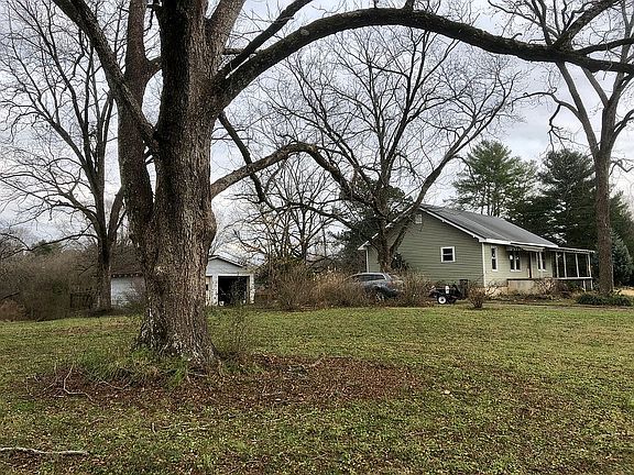 Side yard with old pecan tre