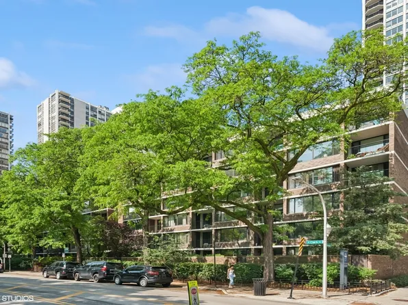 1555 N Sandburg Ter APT 203K, Chicago, IL 60610
