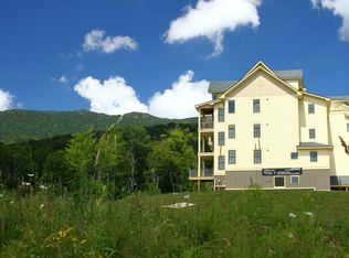 301 Gadd Brk #301, Warren, VT 05674