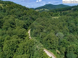 Tbd Russ Norris Rd, Elk Park, NC 28622