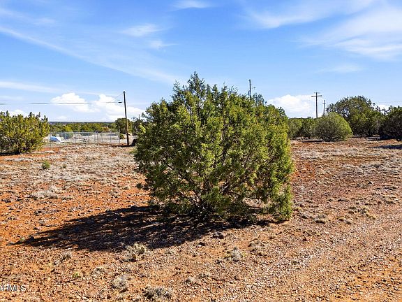 4th image of 8396 BEAR MEADOW Drive #34
