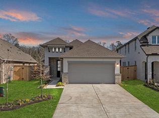 243 Navasota Narrows Way, Conroe, TX 77304