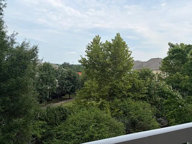 Wooded view from balcony