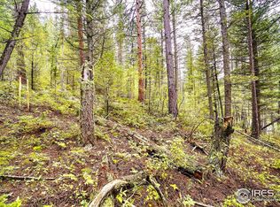 10862 Twin Spruce Rd, Golden, CO 80403