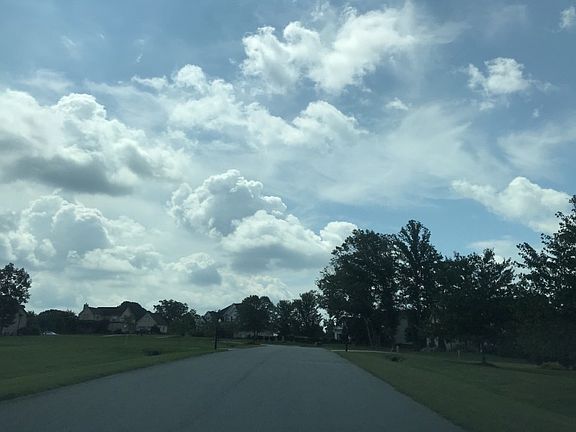 4th image of 6839 Trace Dr