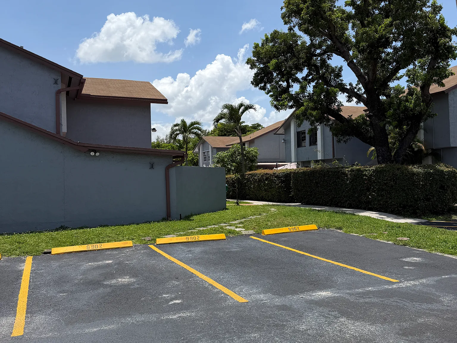 3 bed, 1318 sqft, $3,000 — Photo 3