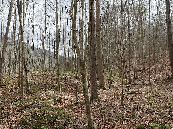 4th image of Valley Spring Rd Lot Wp001