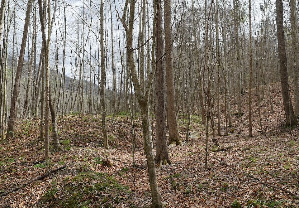 1st image of Valley Spring Rd Lot Wp001