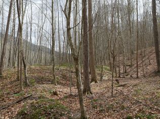 Valley Spring Rd LOT WP001, Rose Hill, VA 24281
