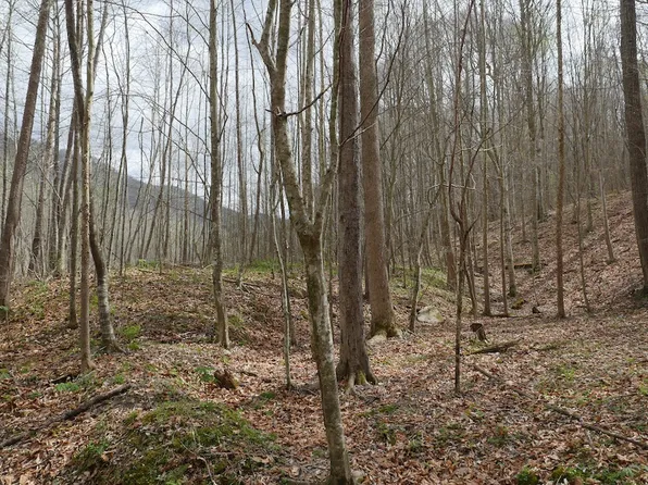 Valley Spring Rd Lot Wp001, Rose Hill, VA 24281