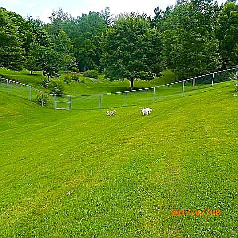 2nd image of 613 Pleasant Grove Rd