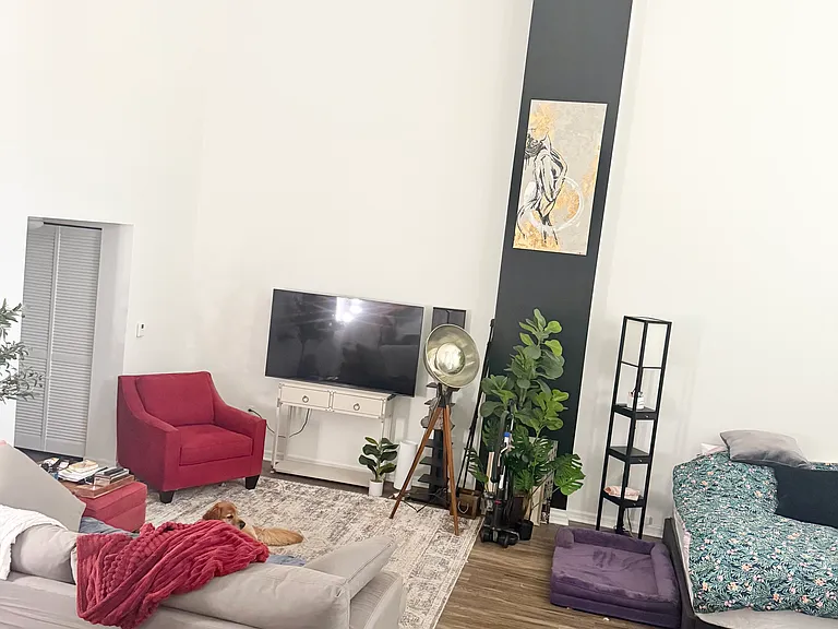255 Evernia St #103 — Photo 9