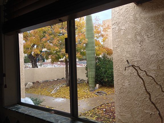 Front courtyard from kitchen vantage point