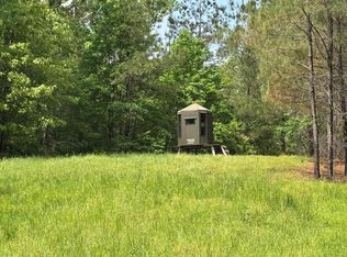 2048 Ashley Rd, Hazlehurst, MS 39083