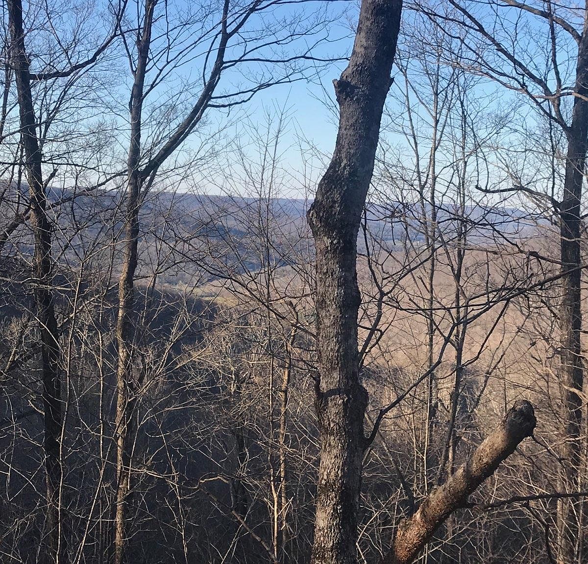 0 Myers Town Rd, Beersheba Springs, TN 37305 Zillow